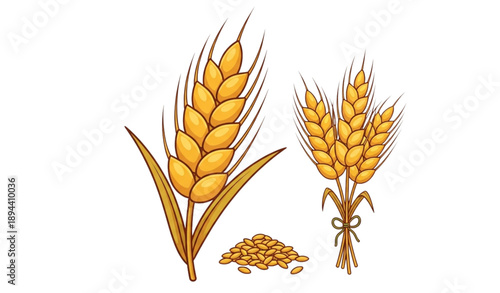 Cartoon golden wheat grain and ear vector agriculture set
