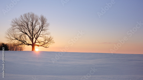 Solitary bare tree silhouetted against golden sunset on snow-covered field in winter Indiana landscape. Peaceful rural scene with warm orange sky transitioning to purple twilight.
