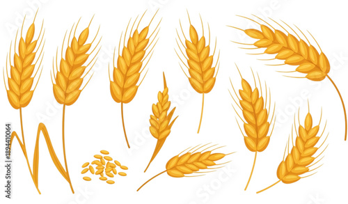 Cartoon wheat grain and golden seed hand drawn vector set