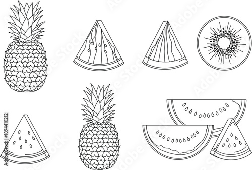 Hand drawn tropical fruit line art set featuring pineapple watermelon and kiwi slices, black outline illustration collection isolated on white background, healthy food and botanical concept
