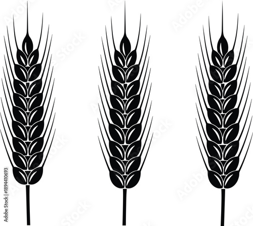 Minimal black wheat ears illustration featuring three grain spikes isolated on white background, agricultural harvest symbol, cereal crop icon, organic farming and food industry concept