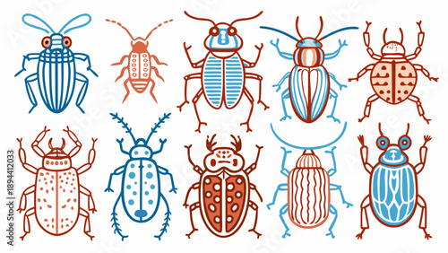 A collection of various bugs and insects in a linear style