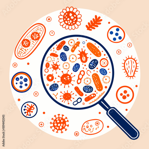 Line vector illustration of magnifying glass examining colonies of microbes and bacteria, concept of biological control and infection detection