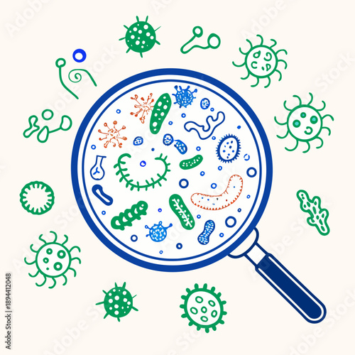 Line vector illustration of magnifying glass examining colonies of microbes and bacteria, concept of biological control and infection detection