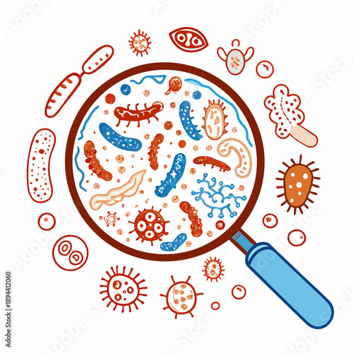Line vector illustration of magnifying glass examining colonies of microbes and bacteria, concept of biological control and infection detection