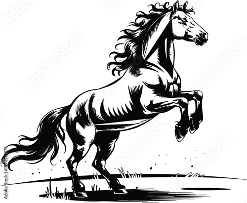 Powerful black and white of a rearing horse with a flowing mane and tail, standing on a grassy field