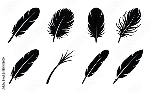 Black vector illustration features feathers silhouettes. Various feather shapes, sizes, and design elements included.