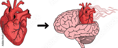 Conceptual Illustration of Human Heart Moving Toward Brain Representing Emotional Intelligence Logic Connection Mental Health Psychology and decision Making Process Isolated on White Background