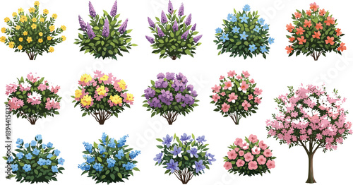 Colorful flowering bushes shrubs and small tree collection isolated garden plants floral landscape elements for spring design vector