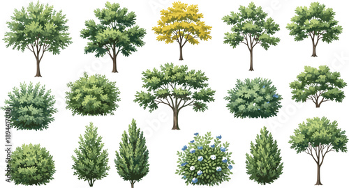 Collection of various green trees shrubs and bushes vector set isolated for landscape garden park game environment design