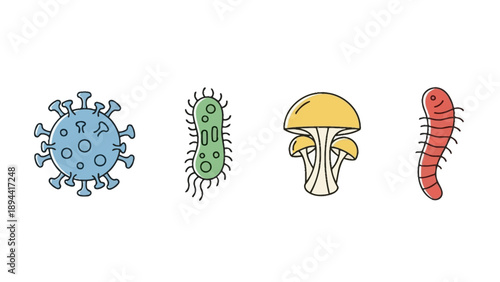 Virus Bacterium Fungus Parasite Microorganisms Illustration.