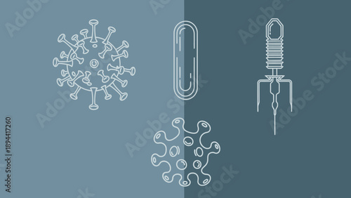 Virus Cells and Bacteriophage Illustration.