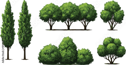 Green trees and shrubs collection isolated landscape elements cypress hedge bushes park garden plants vector set for design