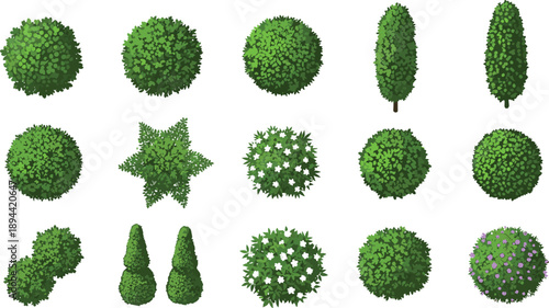 Top view green bushes and hedges collection isolated vector set garden plants landscape design elements botanical shrub shapes