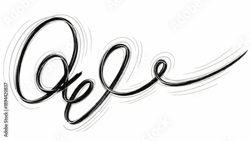 Abstract black brush stroke signature on white background.