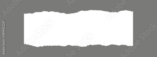 Torn paper frame background. White blank sheet wallpaper with jagged edges. Ripped grunge element bundle for poster, text box, banner. Vector Ilutration