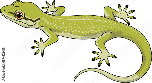 Colorful wooden birdhouse with a red roof and heart decoration perched on a green branch for garden and nature vector illustration