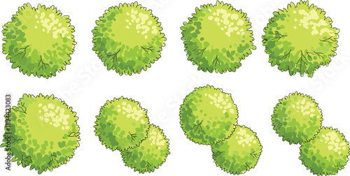 Top view green bushes collection isolated vector set garden shrubs foliage landscape design elements botanical plan symbols