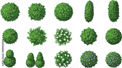Top view green bushes and hedges collection isolated vector set garden shrubs landscape design botanical plan elements