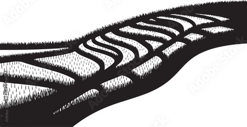 Detailed illustration of a fish skin pattern closeup view