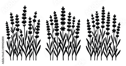 Three lavender bushes silhouette illustration, a simple lavender drawing design for textile pattern.