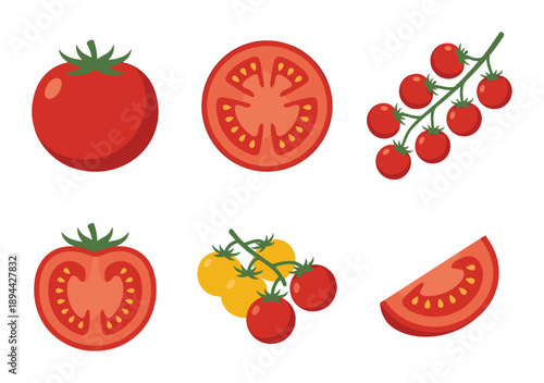 Various tomatoes are represented in this vector image, including slices and tomatoes on the vine.