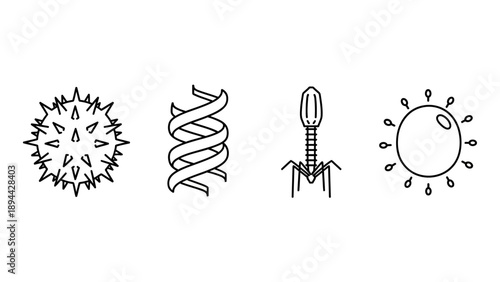 Virus Illustrations Showing Different Structures and Forms.
