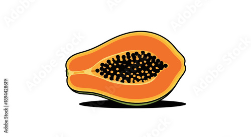 Fresh papaya fruit cut in half illustration on white background.