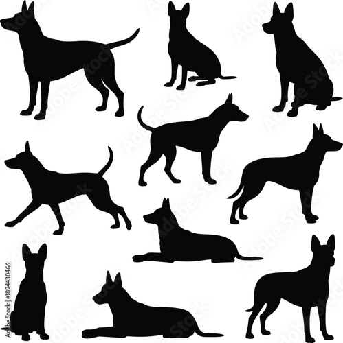 Dog silhouettes, black design, various poses, pet icons, canine posture, vector graphic, animal shapes, sitting walking standing, minimal style, loyal companion