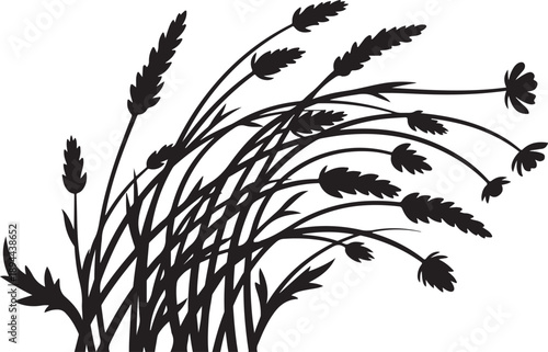 Black Silhouette of Wheat or Grass on White Background