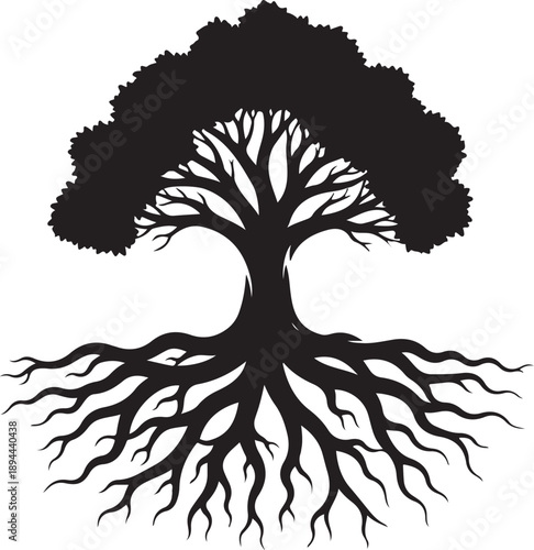 Black Silhouette of Tree with Exposed Roots on White