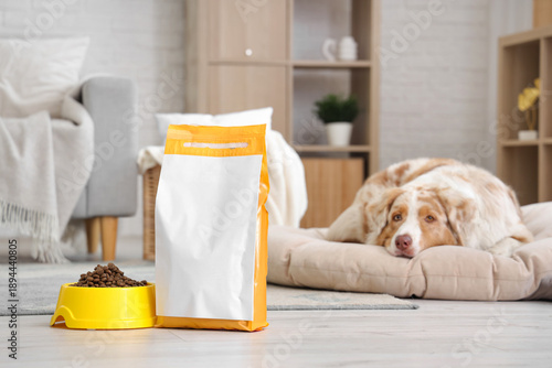 Принти на полотні Cute Australian Shepherd dog on pet bed, bowl and tasty pet food at home