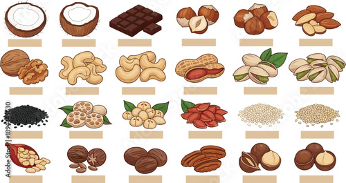 Collection of assorted nuts, seeds, and superfoods including coconut, sesame, pistachio, macadamia, and goji berries isolated on white background for nutrition concepts