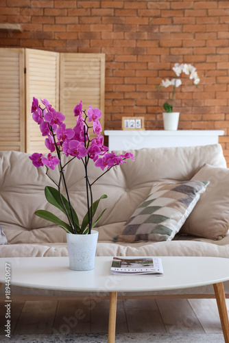 Orchid flower with magazine...