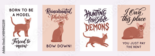 Abyssinian cat, cute kitten slogan poster banner set, inspirational quotes. Hoodie printing, notebook, mugs, bottles, banner typography, sayings tote bags, pouch design, flyers. Vector illustration