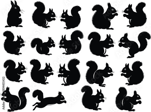 Dragon silhouette vector set, wolf howling predator collection, squirrel bushy tail rodent icons, mythical creature graphics, woodland wildlife animal silhouettes,