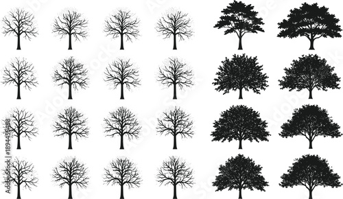 Set of tree silhouettes and detailed branch line art for landscape design and architectural site planning isolated on grey background