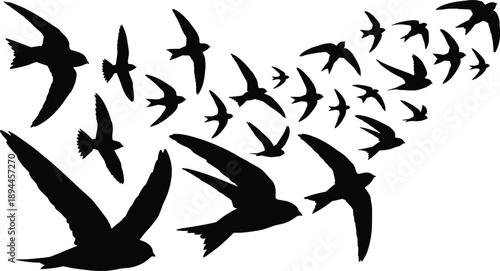 Flock of flying bird silhouettes in dynamic formation isolated on white background for wildlife nature freedom and migration vector illustration