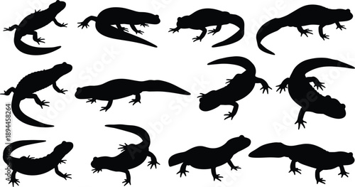 Set of black salamander and newt silhouettes in various poses isolated on white background for wildlife vector illustration collection design projects