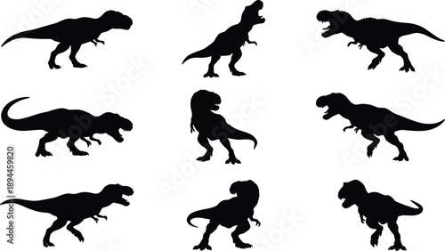 Set of tyrannosaurus rex dinosaur silhouettes in aggressive action poses isolated on white background for prehistoric wildlife vector illustration designs