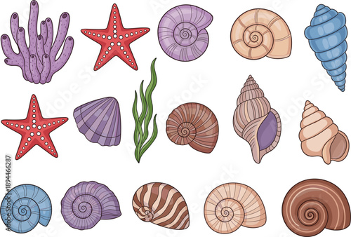 Detailed Marine Seashell Vector Set Featuring Colorful Sea Snails Starfish Coral And Underwater Elements For Coastal Decoration And Beach Themed Graphic Design