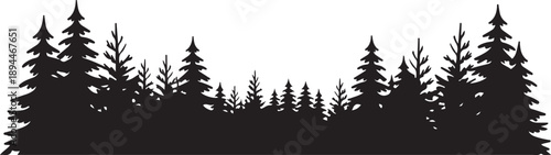 forest pine and fir tree silhouette landscape vector design