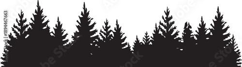 forest silhouette conifer tree skyline vector illustration