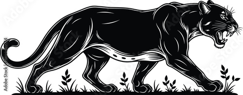 Black panther silhouette illustration walking and roaring in wild nature style for wildlife design, tattoo art, logos, posters, apparel prints, and bold graphic projects