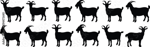 Collection of Twelve Goat Silhouettes Featuring Different Breeds and Horn Shapes for Farm Branding Livestock Marketing and Rural Design