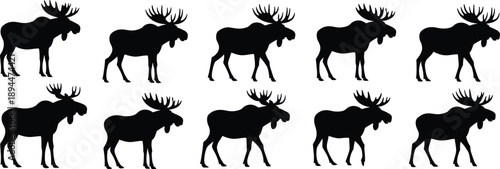 Large Collection of Moose Silhouettes Featuring Various Bull Moose Standing and Walking Poses Isolated on White Background for Wildlife and Nature Design