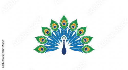 Vibrant peacock tail with colorful feathers and eye like patterns on white background