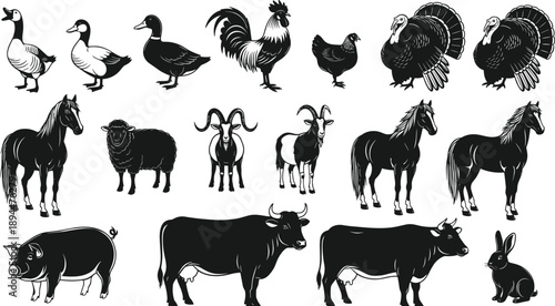 Set of various farm animal silhouettes and line art illustrations including cow pig horse sheep goat chicken duck and turkey isolated on white background