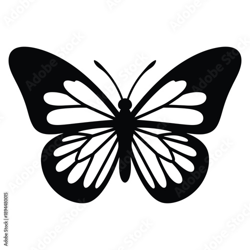 Black Silhouette of a Butterfly with Open Wings