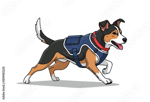 Dynamic canine in motion wearing blue harness, captured in mid-stride, showcasing agility and speed